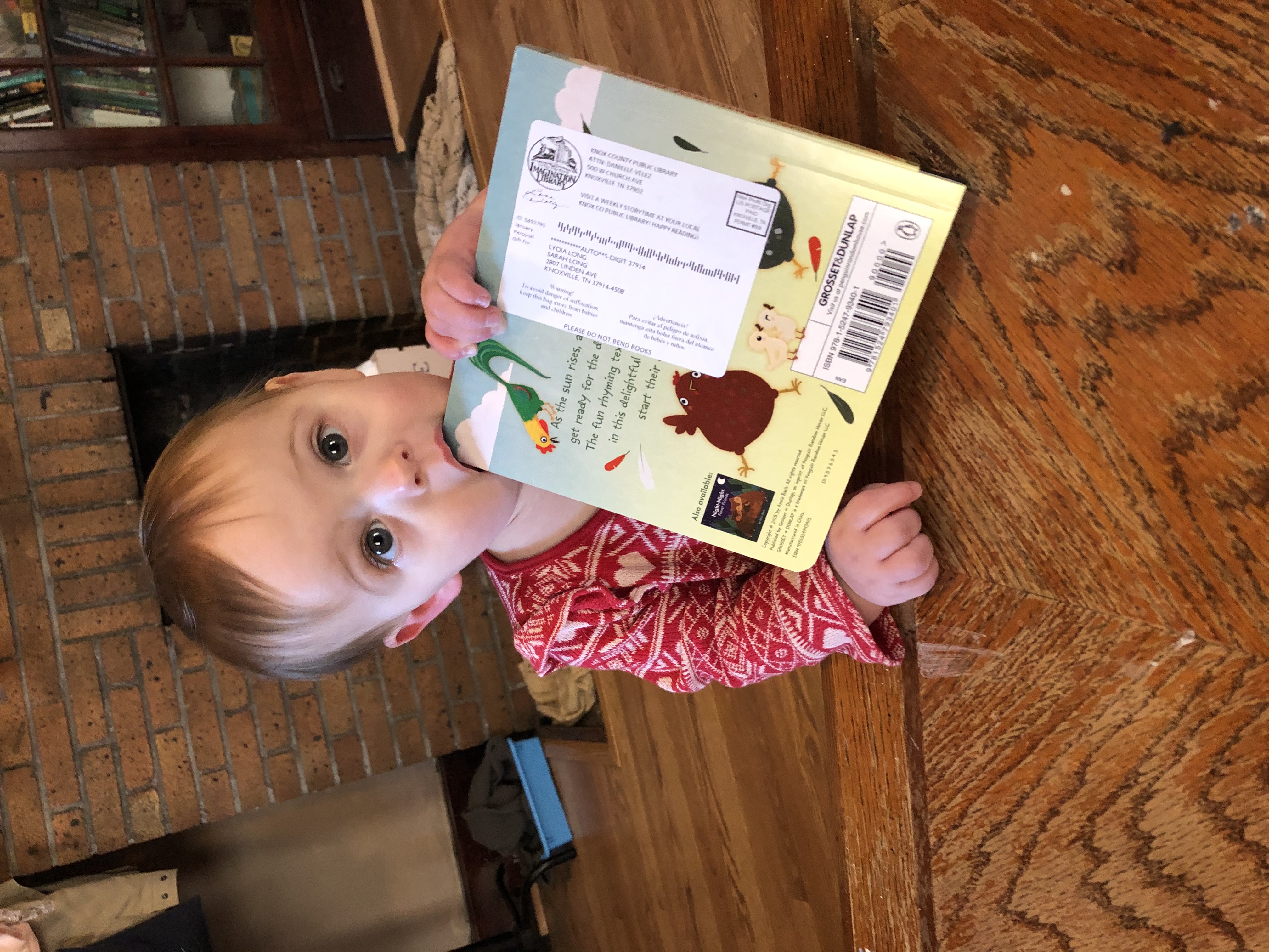 Lydia (10 months) old holding book in her mouth. 