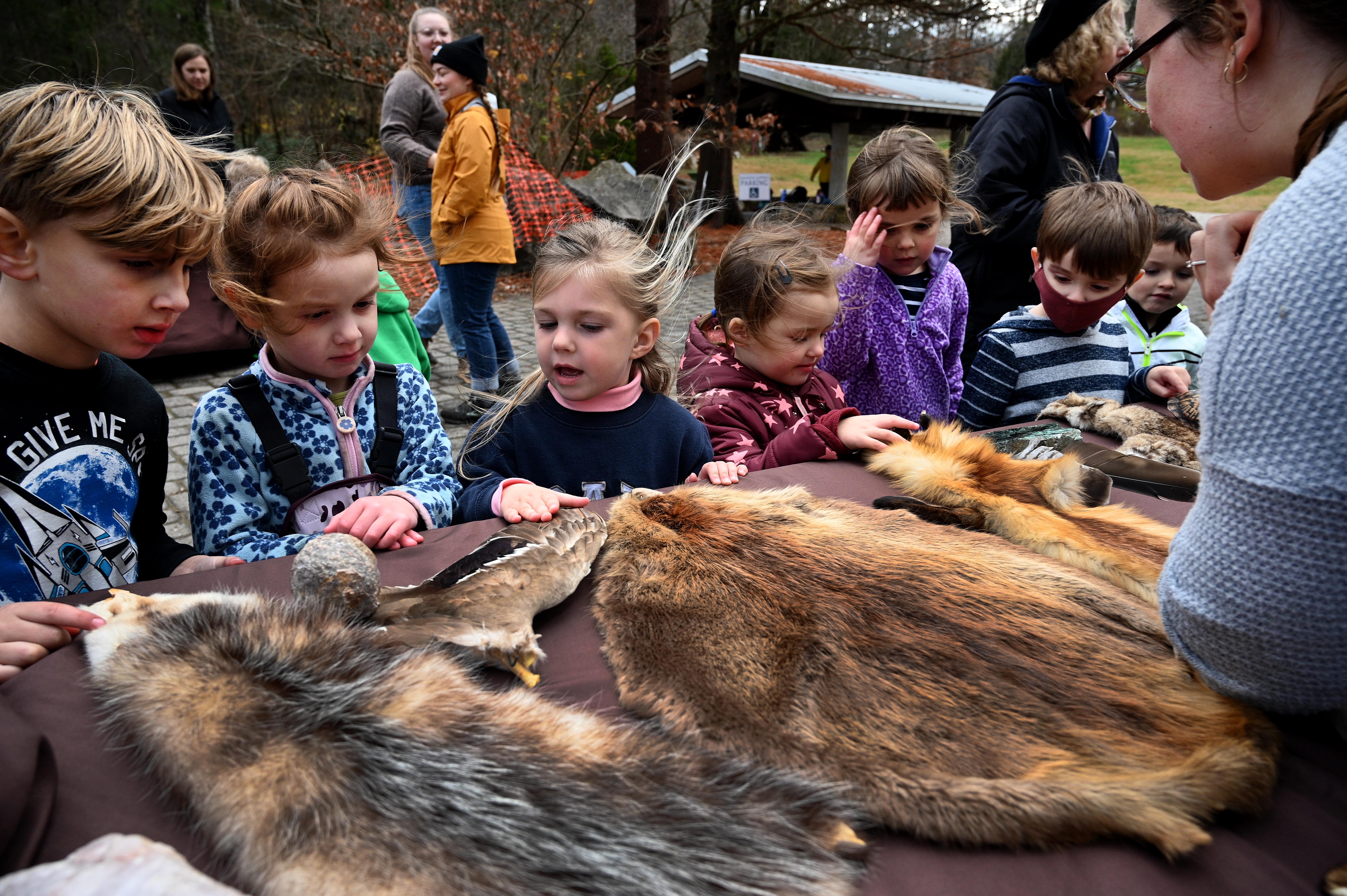 preschool children inspect various animal pelts