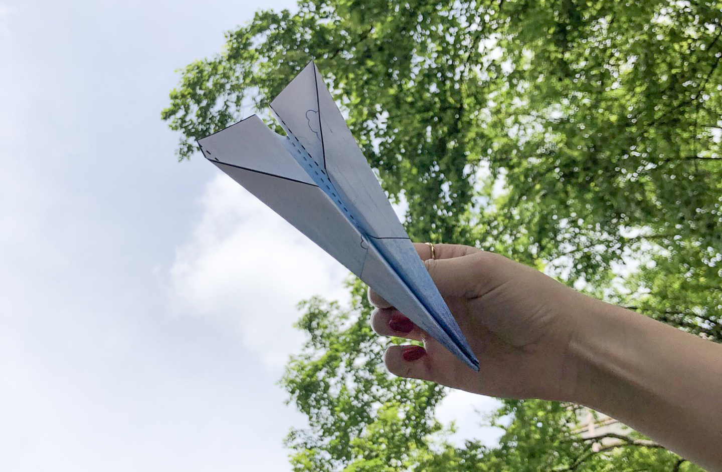 photo of paper airplane against sky and trees