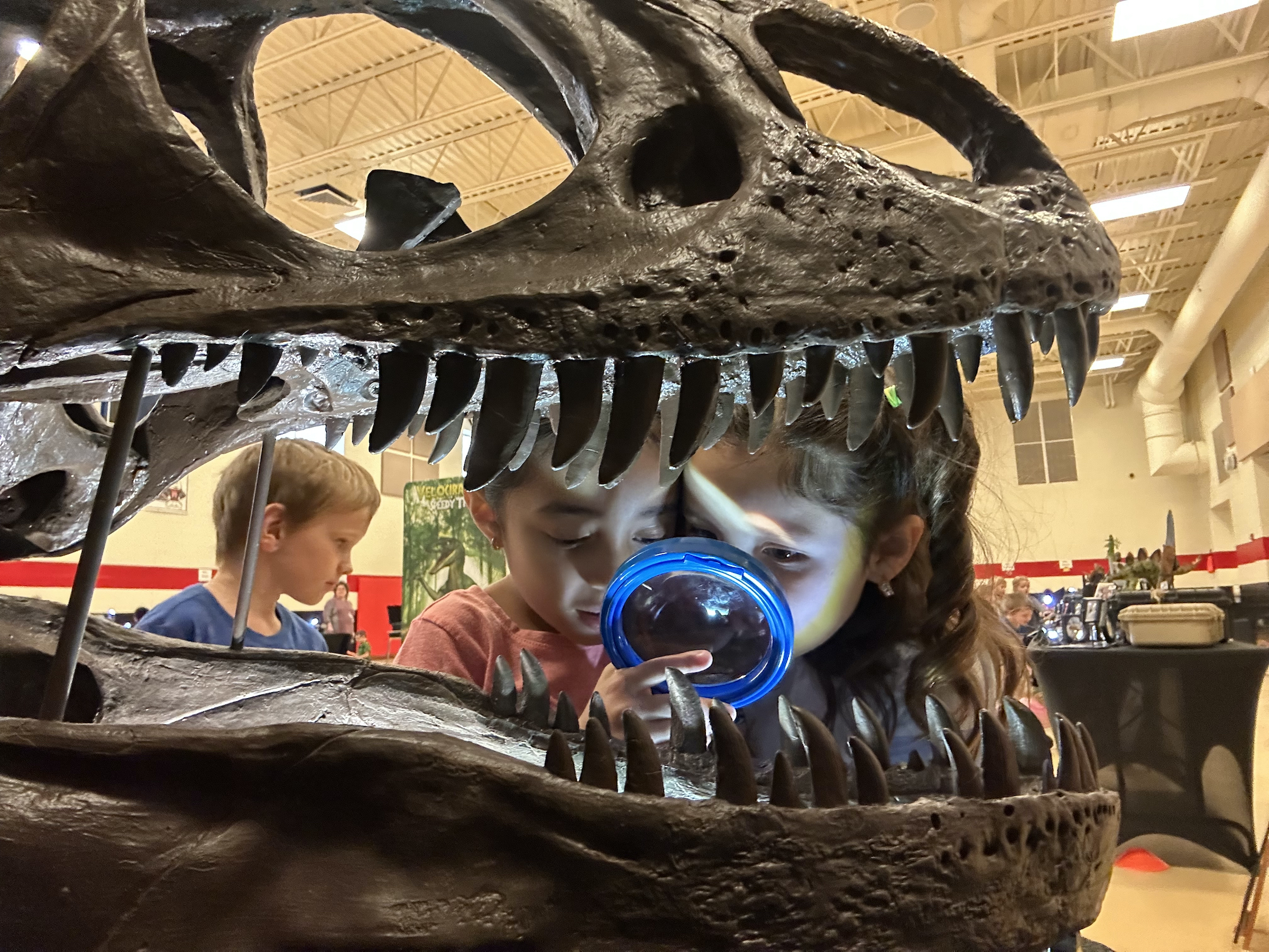 young kids examine the inside of a large dinosaur skeleton skull