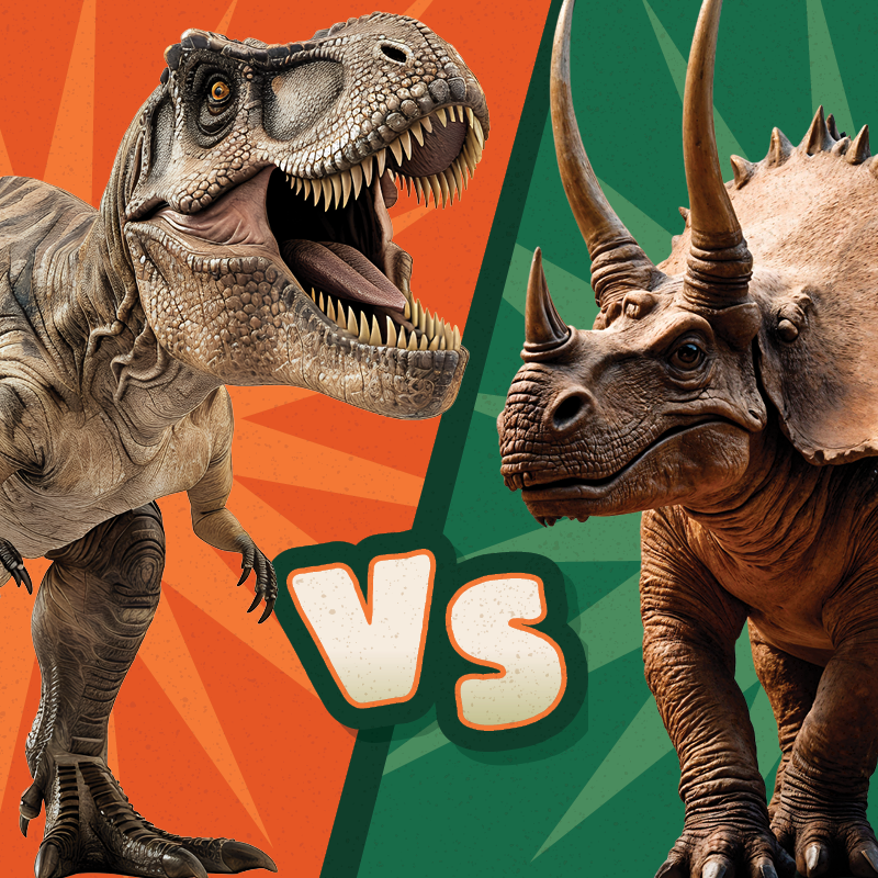 t-rex vs triceratops