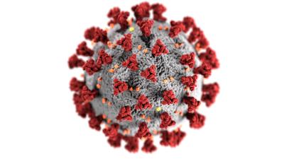 Image of corona virus particle. 