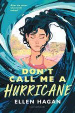 Cover art for Don't Call Me a Hurricane by Ellen Hagan