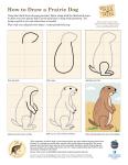 How to Draw a Prairie Dog PDF thumbnail