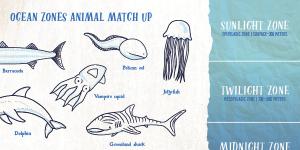 Drawings of sea creatures and chart of ocean zones