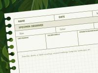 field notes worksheet