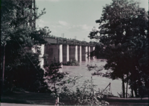 TVA Public and Private Perspectives