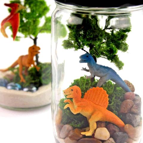 dinosaur terrarium