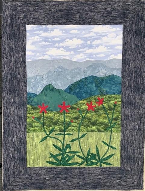 Quilt made by a member of the SMQ.