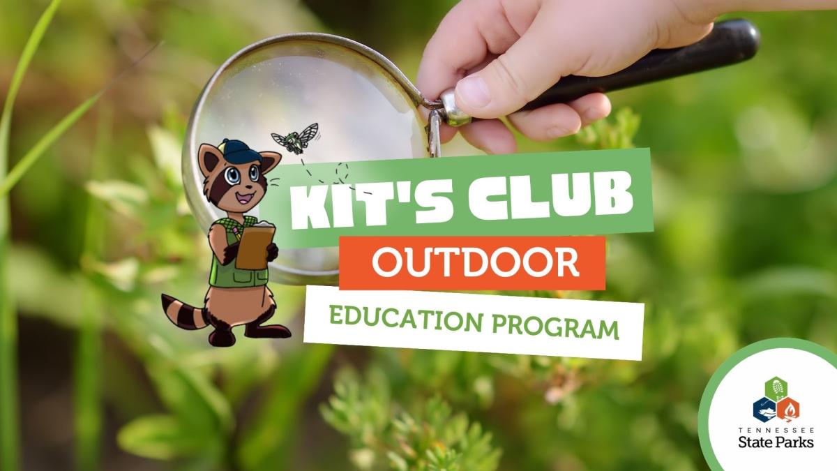 Kit's Club from Seven Islands Birding Park