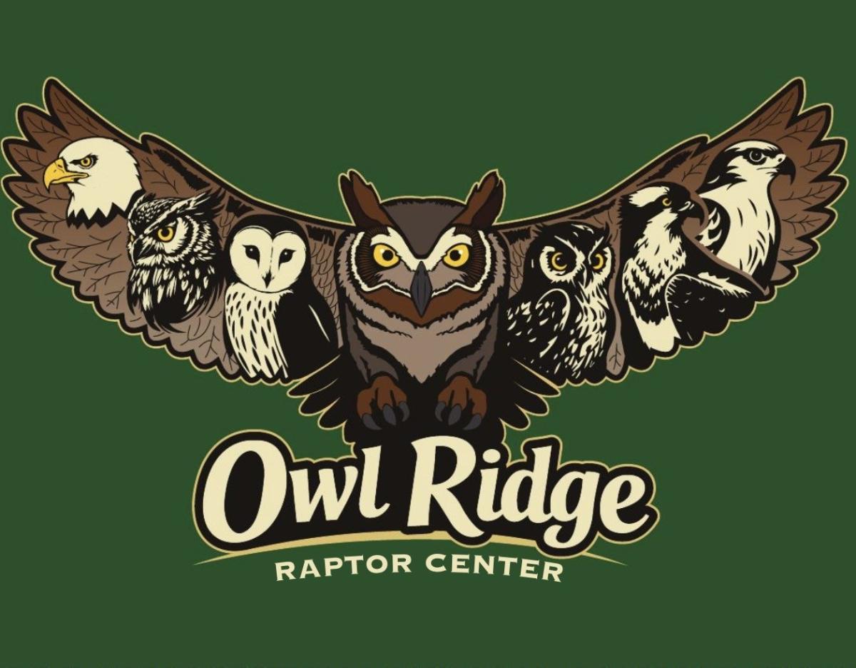 Owl Ridge