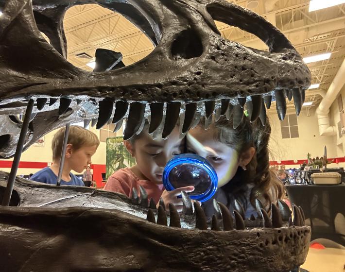young kids examine the inside of a large dinosaur skeleton skull