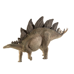 Stegosaurus