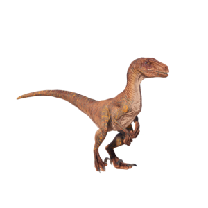 Velaciraptor