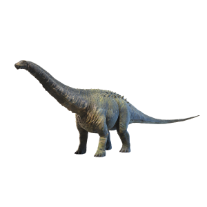 Apatosaurus